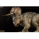 Dinosauria Triceratops Statue 28 cm